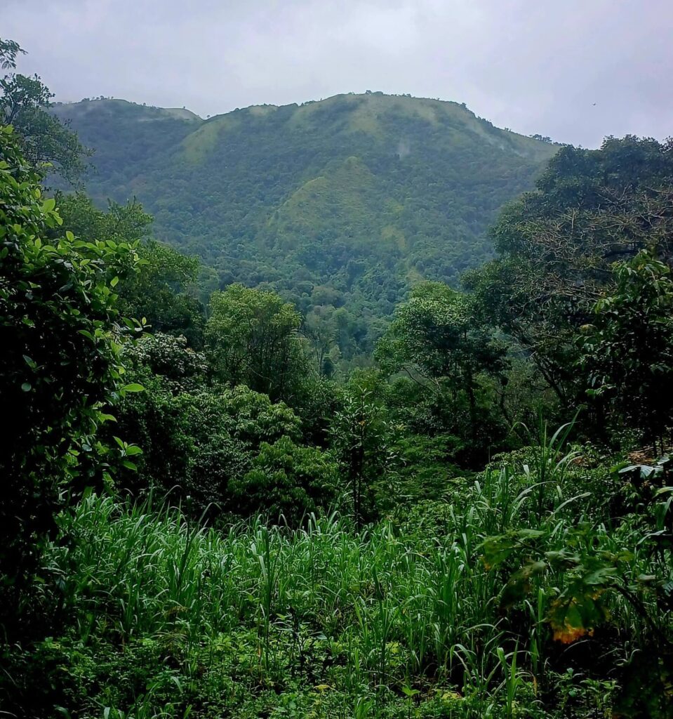 Why Kodagu aka Coorg? Why Now? WHY NOT
